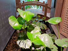 -邈墨茶馆(凤起路店)