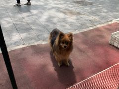 -大叔家福鼎小吃(十全街店)