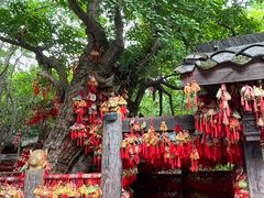 -成都武侯祠博物馆