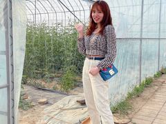 -庞各庄翠芳园西瓜蔬菜基地采摘园