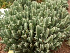 -南通洲际绿博园