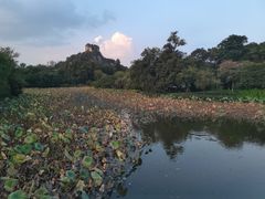 -雀儿山公园