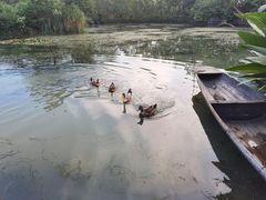 -木守西溪溪隐餐厅