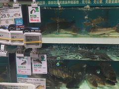 -盒马鲜生(莱蒙都会店)