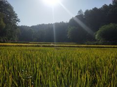 -韶山毛泽东同志故居