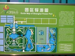-上海鲜花港