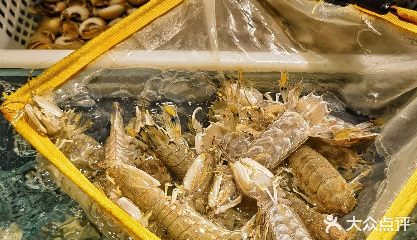 来一顿海鲜自由+日料自由也算是犒劳自己一年以来的辛劳付出