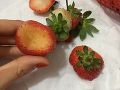 -召稼楼古镇