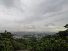 -火炉山森林公园