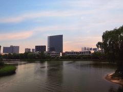 -大兴滨河森林公园