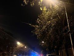 -玫瑰红烤羊排(北新桥三条店)
