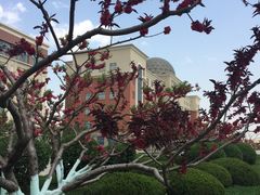 -南开大学滨海学院