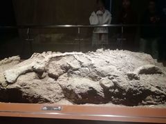 -世界恐龙谷景区