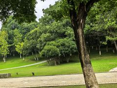-白鹭园