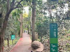 -紫金山山顶公园