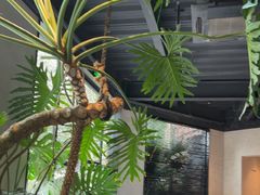 -J Create城市露营咖啡·简餐·宠物(上海动物园店)