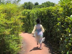 -铁山坪森林公园