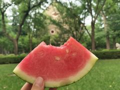 -山东大学(趵突泉校区)