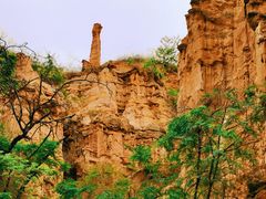 -元谋土林景区(物茂土林)