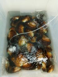 -邵老师打金·黄金加工(大望路总店)