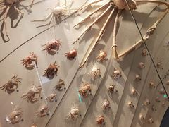 -中国湿地博物馆