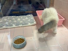 -FAELING PETS美天灵宠物(富力广场店)