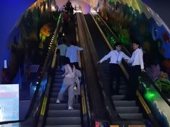 -成都浩海立方海洋公园