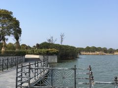-上海都市菜园