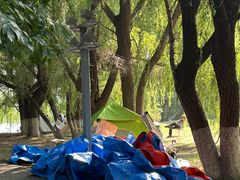 -长白岛森林公园