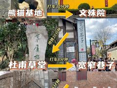 -成都大熊猫繁育研究基地