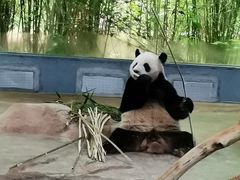 -海南热带野生动植物园