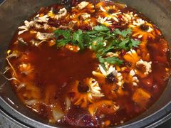 -重庆乌鱼庄·龙滋鲜(青羊大道店)