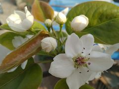 -六朝居老面馆(同鑫宾馆店)