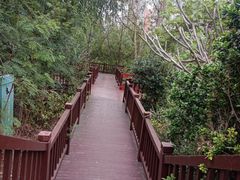 -金鸡岭桥头公园