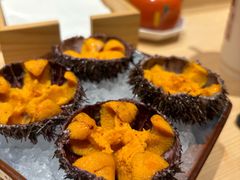 -鲤·鮨KOISUSHI