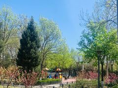 -大兴滨河森林公园