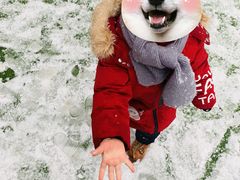 -华杉幼儿园(青塔校区)