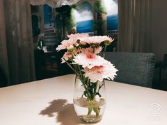 -伊斯坦布尔土耳其清真咖啡餐厅