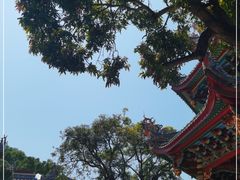 -南普陀寺