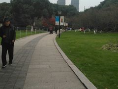 -荆川公园