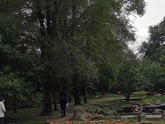 -黑龙江省森林植物园