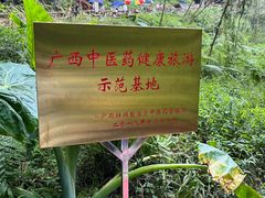 景点-百魔洞景区