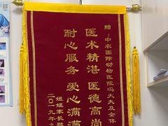 -中农国际动物医院24小时·猫科·骨科·急重症中心
