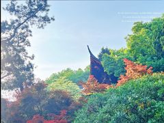 -吴山景区