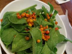 果粒冰草-九十九顶毡房(阜石路店)