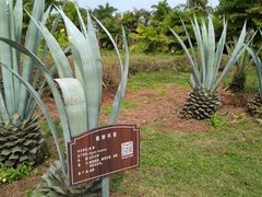-白沙门生态公园
