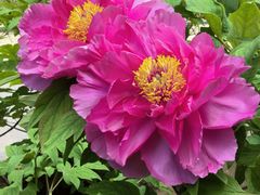 -木塔寺遗址生态公园