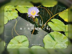 -龙华寺