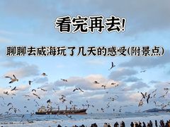 -日照灯塔风景区