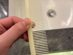 -舟山希尔顿酒店